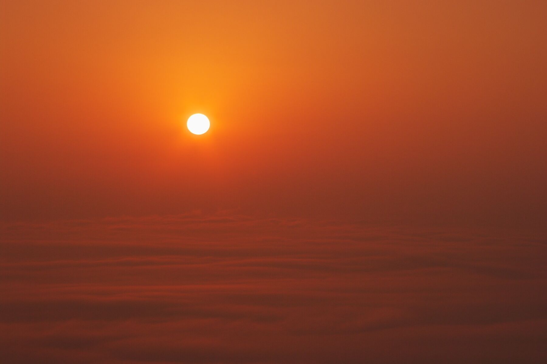 霧の中からの日の出