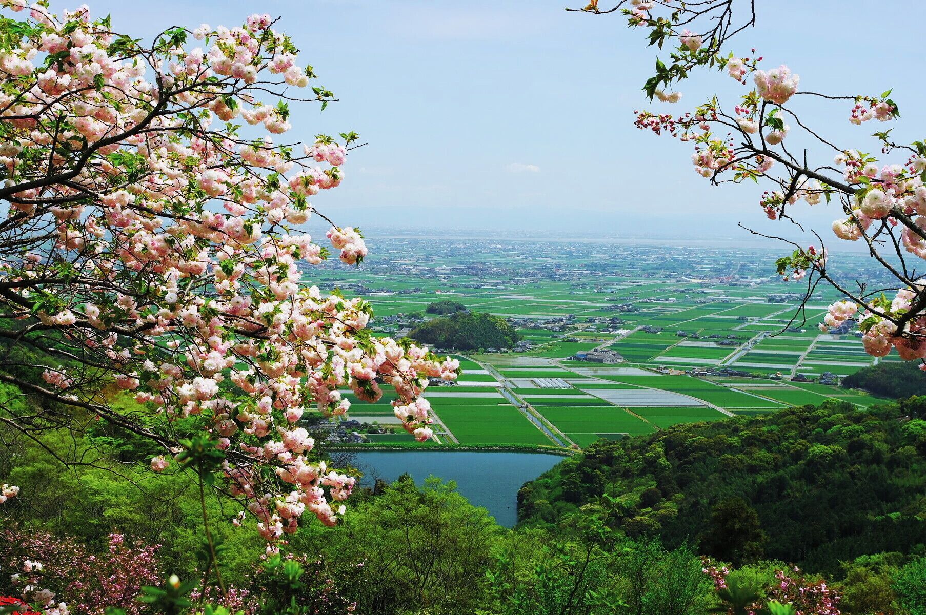 歌垣公園より白石平野