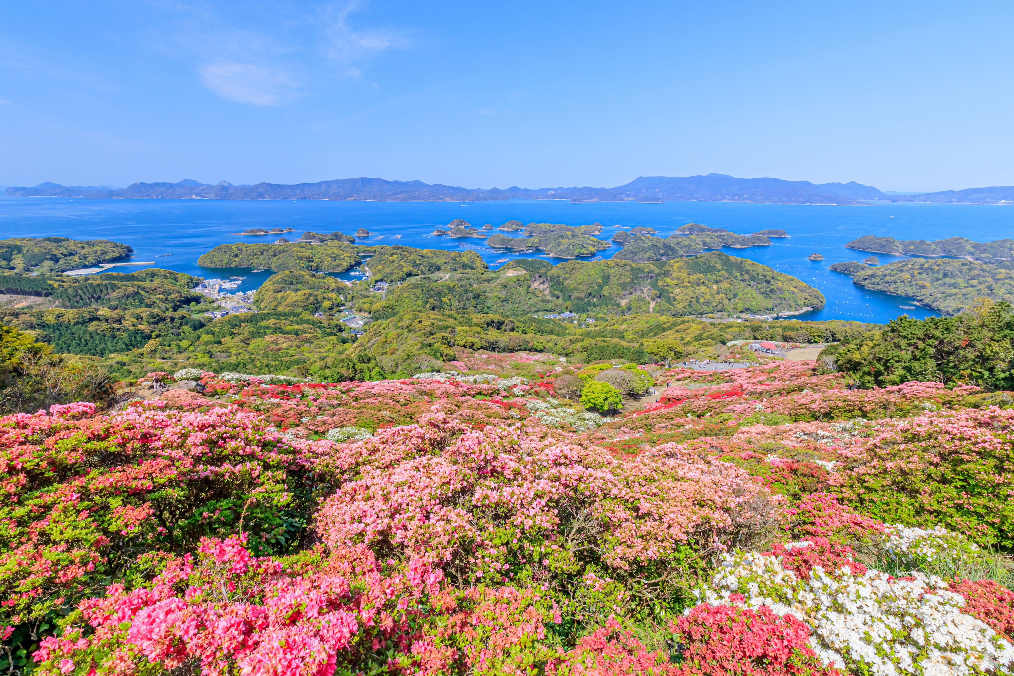 西海国立長串山公園のつつじ　長崎県佐世保市　Azalea Nagasaki-ken Sasebo city Saikai National Park Nagakushiyama park