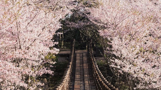 波佐見町