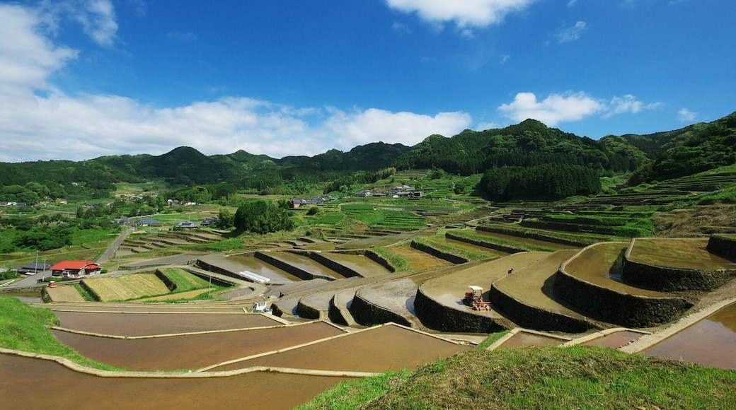 鬼木棚田 展望所より