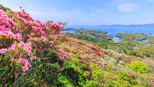 Paisagem com árvores de flores cor-de-rosa, vista costeira com ilhas e céu azul límpido.