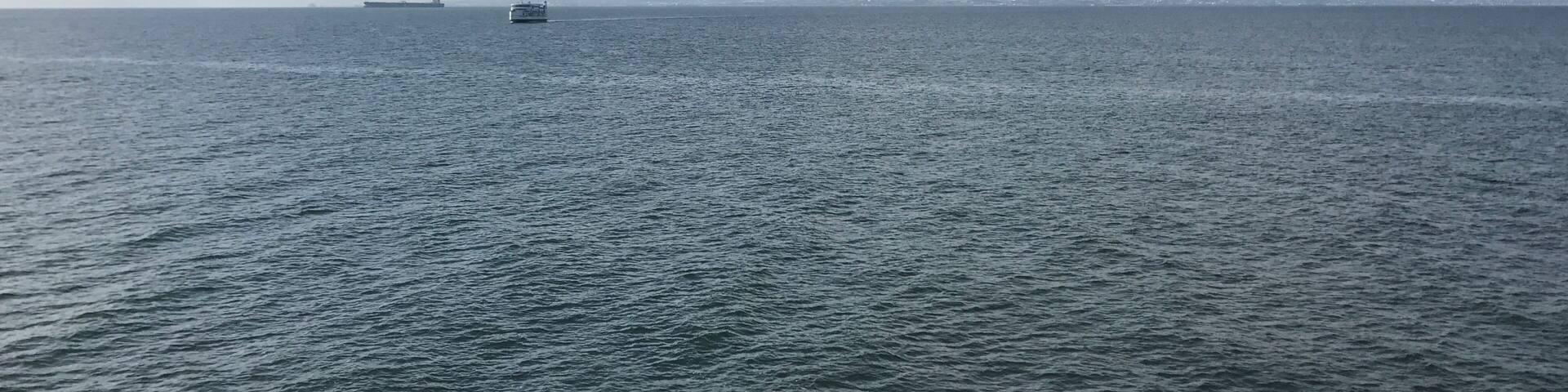 有明フェリーより望む雲仙岳