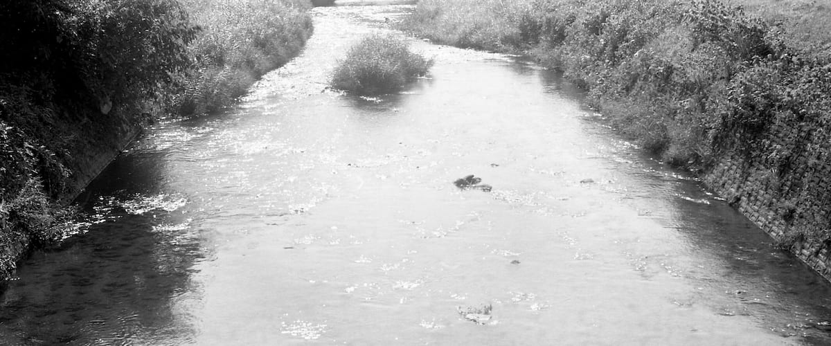 A narrow, muddy waterway flanked by dense vegetation.