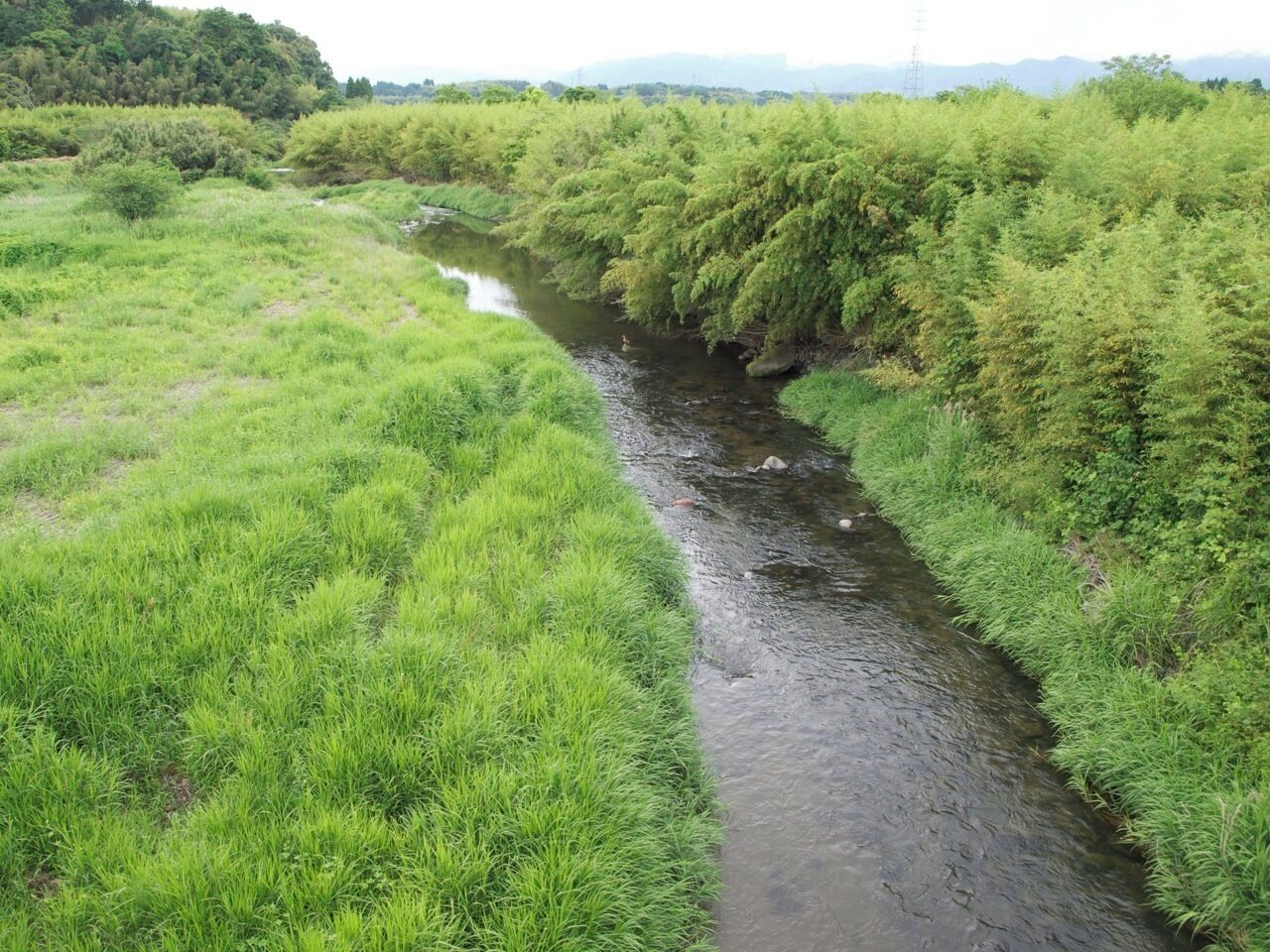 小纚川 Kosade brook