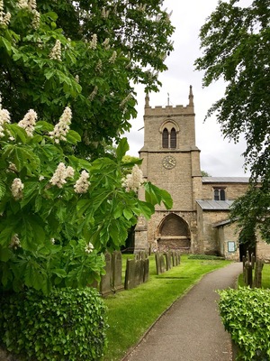 Horse chestnut tree in flower outside All Saints church in Nettleham