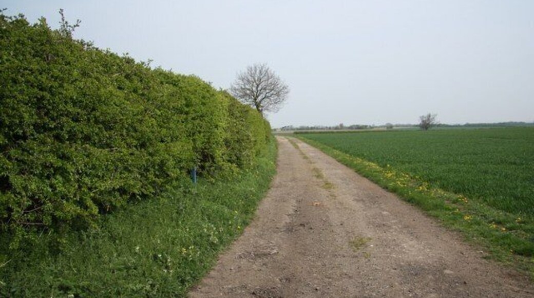 Parish boundary Hedgeline off hall Lane forming the boundary of Grange de Lings and Nettleham parishes