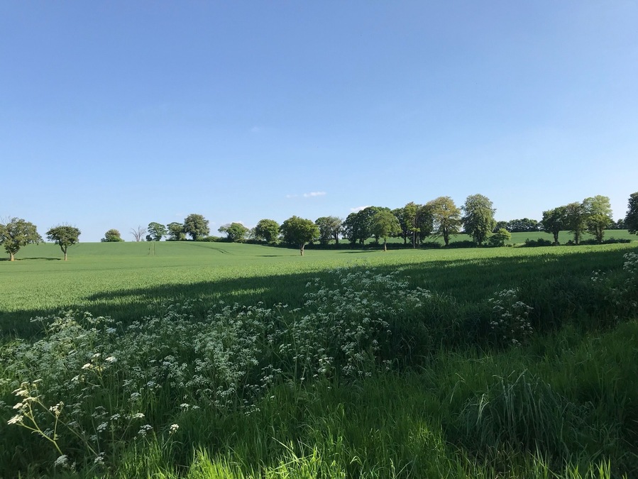 English countryside in the sunshine 🌞