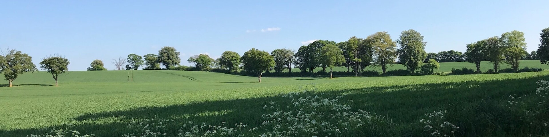 English countryside in the sunshine đ