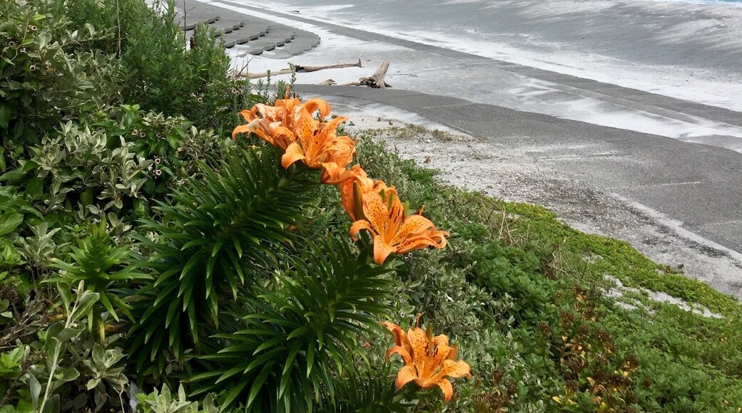Habuse Beach, Niijima, Tokyo