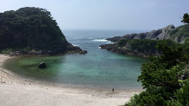 A coastal landscape with a sandy beach, clear turquoise waters, rocky cliffs, and dense green vegetation.
