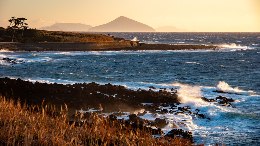 A coastal landscape with waves crashing against rocks, a distant mountain, and a grassy area with trees.