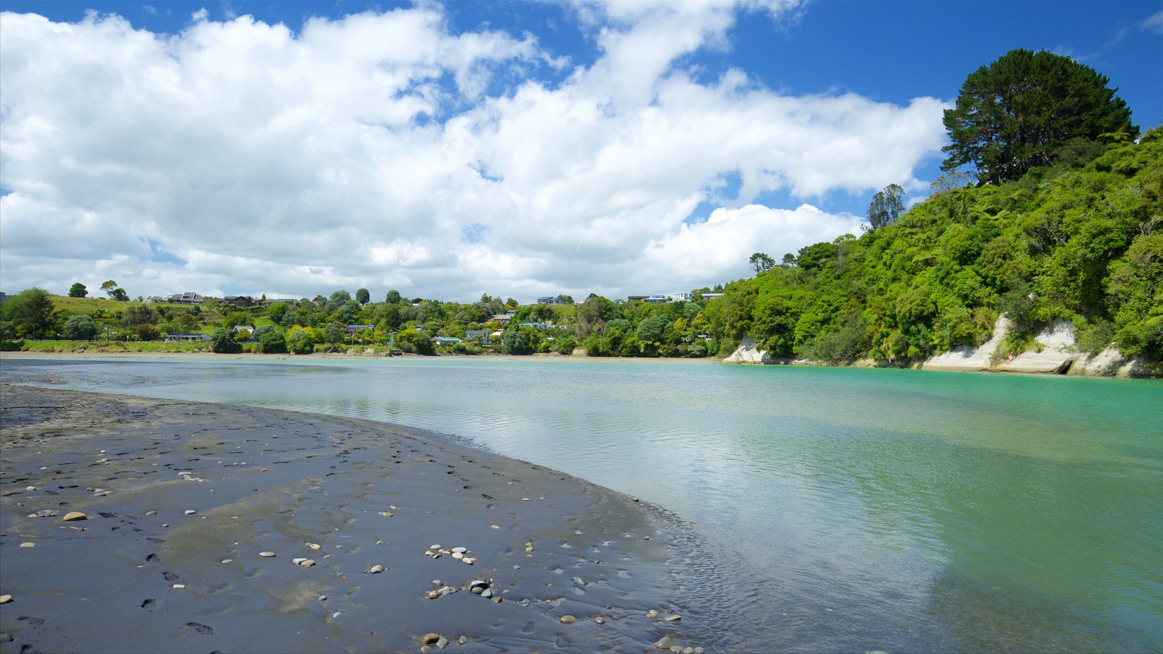 Urenui showing a lake or waterhole