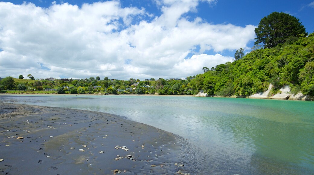 Urenui showing a lake or waterhole