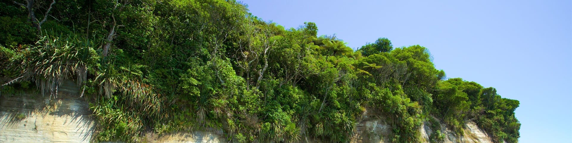 New Plymouth which includes general coastal views and a bay or harbor
