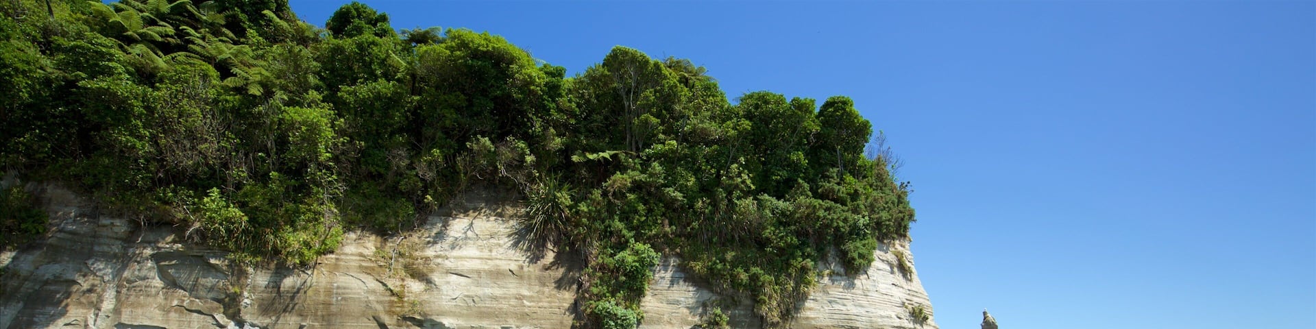 Urenui featuring rugged coastline, general coastal views and a pebble beach