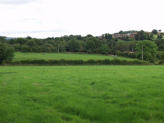 Hay meadows at Ty Brith Look at these fields after the hay has been cut and they look like any other in this area. But, return in the late spring and they are bursting with masses of meadow flowers. These fields are a nature reserve and they have been managed for hay in the traditional way in excess of 100 years. http://www.montwt.co.uk/docs/ty_brith.pdf They are one of many reserves run by the Montgomeryshire Wildlife Trust. http://www.montwt.co.uk/site_map.html