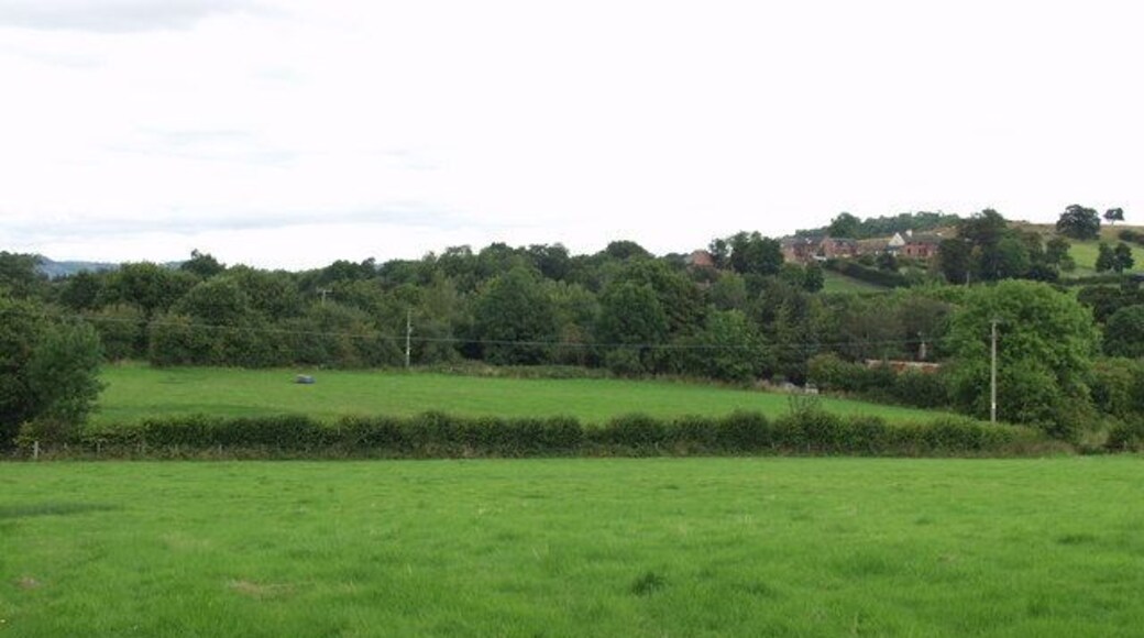 Hay meadows at Ty Brith Look at these fields after the hay has been cut and they look like any other in this area. But, return in the late spring and they are bursting with masses of meadow flowers. These fields are a nature reserve and they have been managed for hay in the traditional way in excess of 100 years. http://www.montwt.co.uk/docs/ty_brith.pdf They are one of many reserves run by the Montgomeryshire Wildlife Trust. http://www.montwt.co.uk/site_map.html