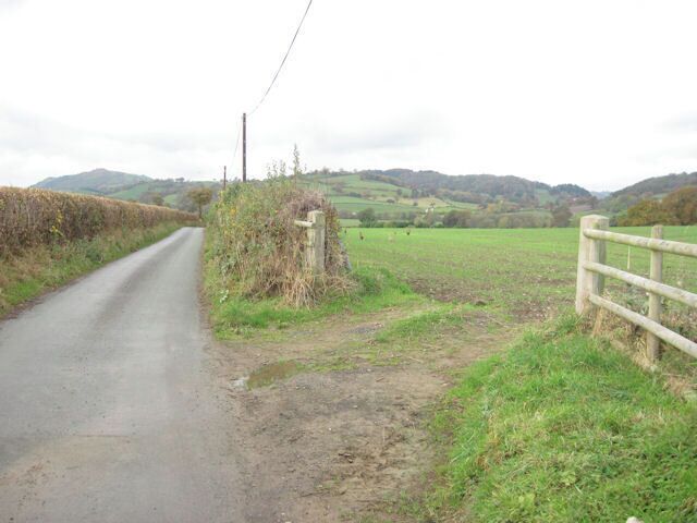 Field entrance off lane at Trewylan Isaf
