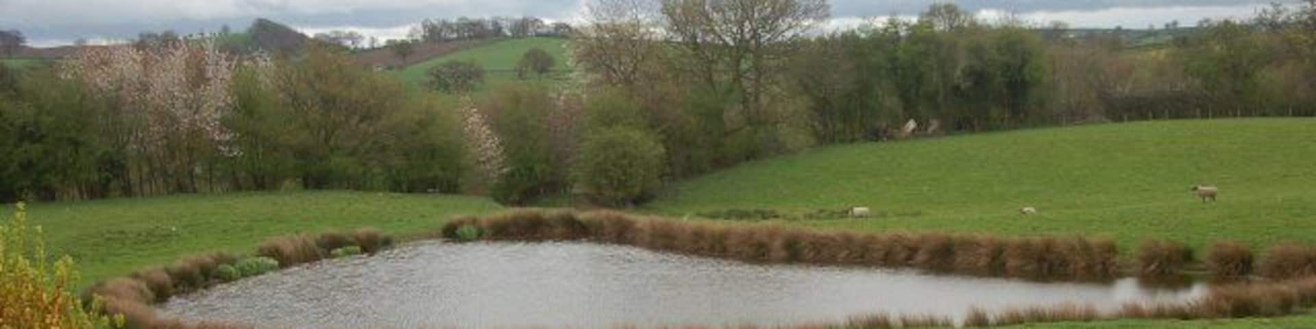 Pond close to Cross Keys Public House.