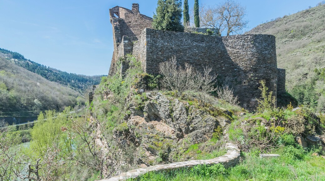 This building is classé au titre des Monuments Historiques. It is indexed in the Base Mérimée, a database of architectural heritage maintained by the French Ministry of Culture, under the reference PA00093976 .