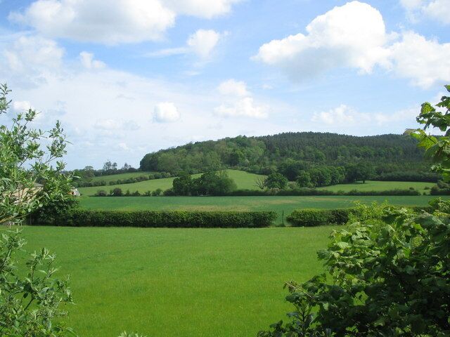 Back Wood, Bow Brickhill Glebe Farm on left
