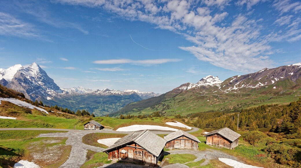 Views from Grosse Scheidegg towards Grindelwald