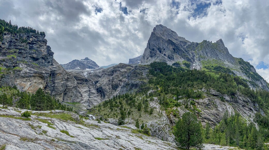Bergpanorama beim Rosenlauigletscher