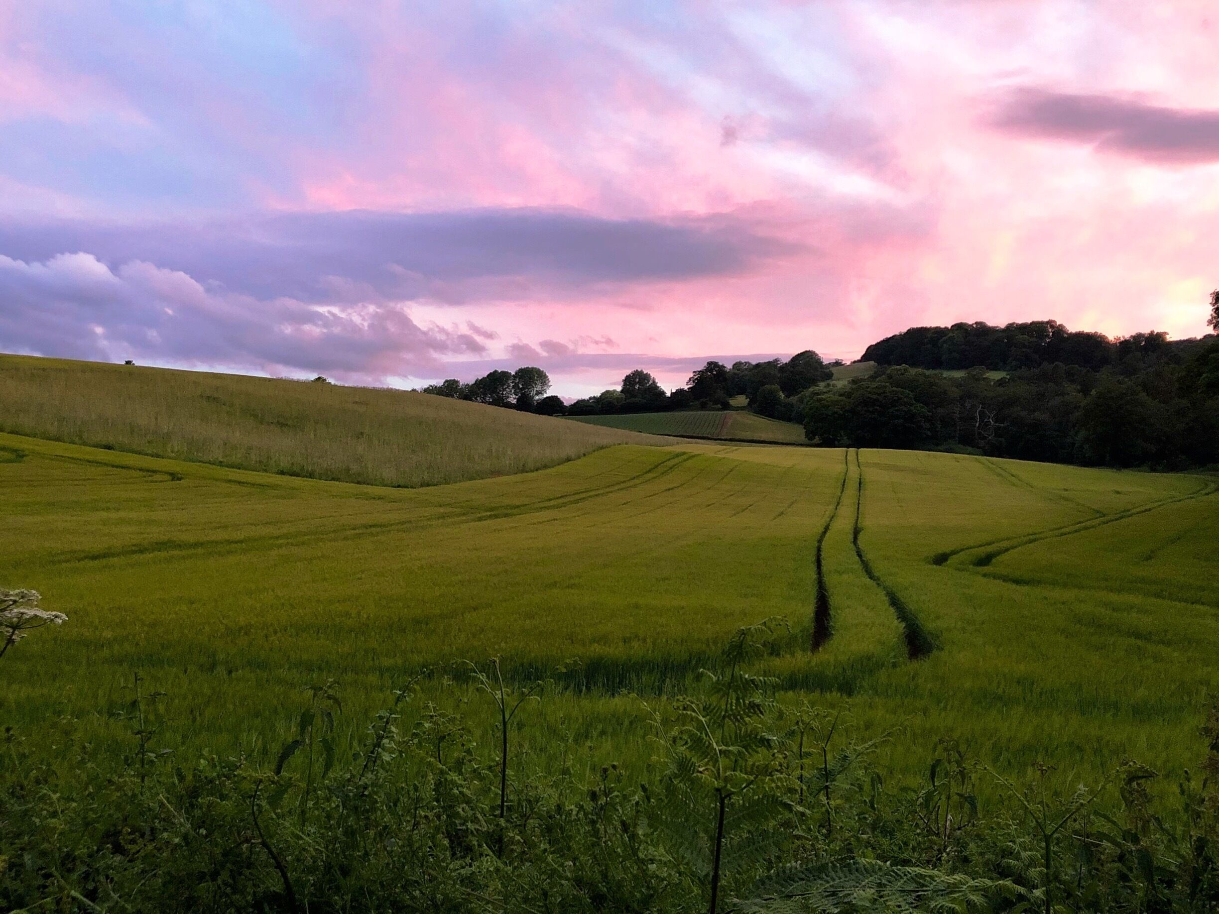 Beautiful sunset over Compton 