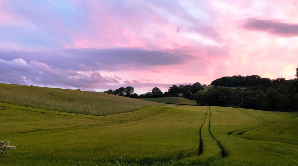 Beautiful sunset over Compton