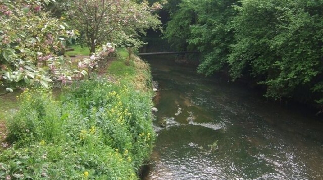 River Stour downstream of Kinver Bridge