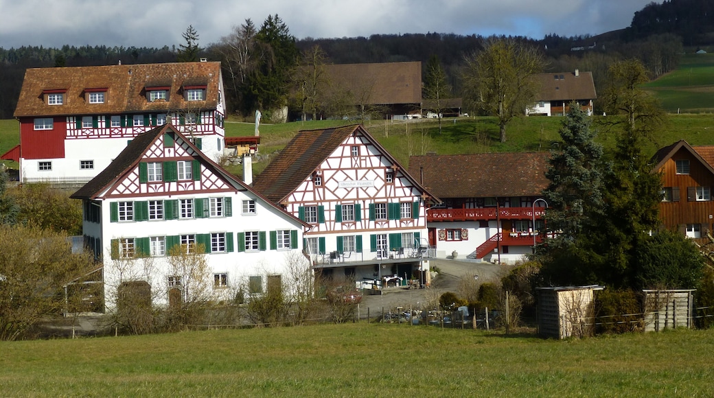 Hüttwilen Kt. Thurgau Schweiz
