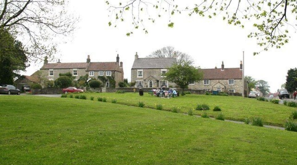 Picnic on the green The village green at Burton Leonard on a pleasant spring day.