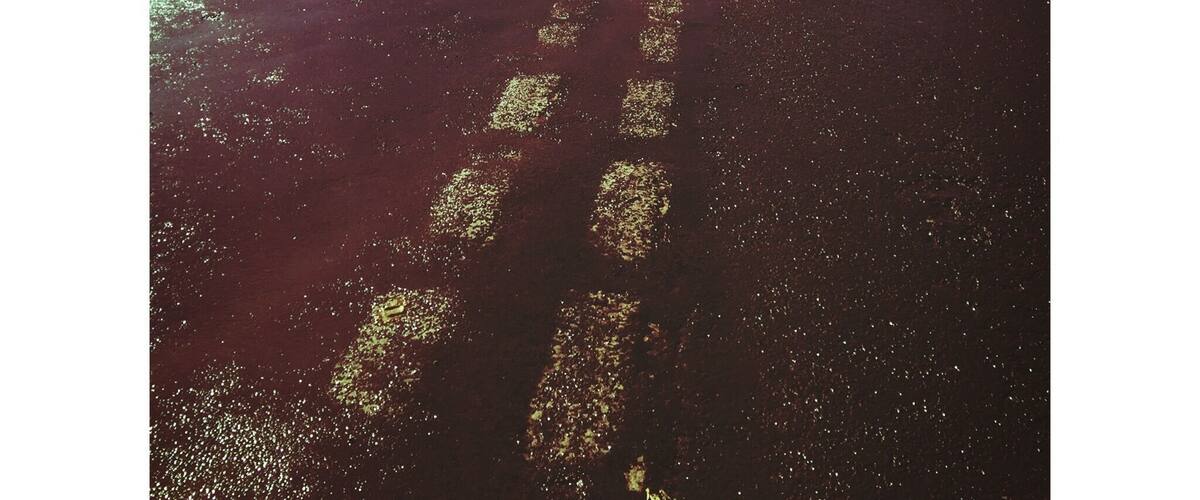 Burton Leonard on a typical April day, after the rain and during the sun, this is at the centre of the village #lovemytown