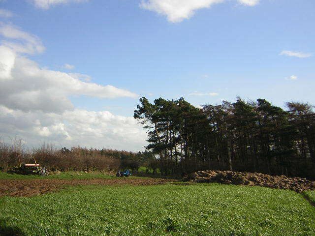 Burton Leonard Hesp Hill farmland with typical rural "architecture"