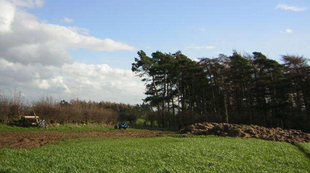 Burton Leonard Hesp Hill farmland with typical rural "architecture"