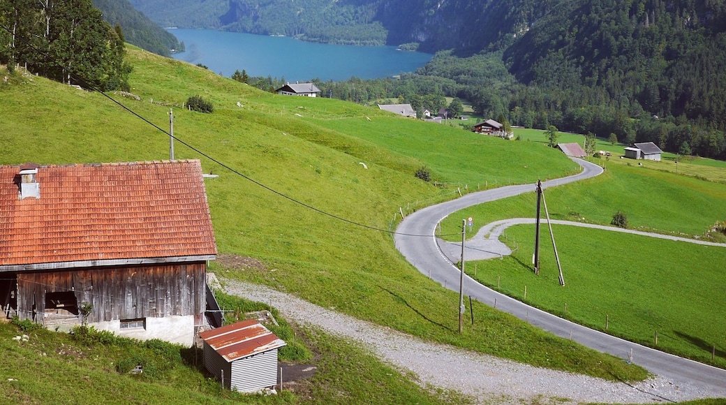 I have become a real secondary-road navigating buff and found there are things I learn as I go. I have learned how to spot the good ones on a map, for example. If the line wiggles, that’s good. That means #mountains. If it appears to be the main route from a town to a city, that’s bad. The best ones always connect nowhere with nowhere and have an alternate that gets you there quicker. If you are going northwest from a large town you never go straight out of town for any long distance. You go out and then start jogging north, then west, then north again, and soon you are on a secondary route that only the local people use.
The main skill is to keep from getting lost. Since the roads are used only by local people who know them by sight nobody complains if the junctions aren’t posted. And often they aren’t. When they are it’s usually a small sign hiding unobtrusively in the weeds and that’s all. Country road-sign makers seldom tell you twice. If you miss that sing in the weeds that’s *your* problem, not theirs. Moreover, you discover that the highway maps are often inaccurate about country roads. And from time to time you find your #CountryRoads take you onto a two-rutter and then a single rutter and then into a pasture and stops, or else it takes you into some #farmer’s backyard.
So I navigate mostly by dead reckoning, and deduction from what clues I find. With that mindset and a lack of pressure to „get somewhere“ it works out fine and I just about have #Europe all to myself.