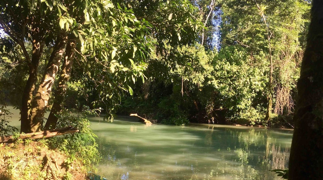 Dory ready for remote destinations