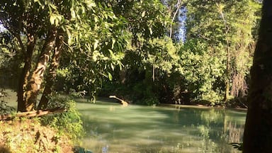 Dory ready for remote destinations