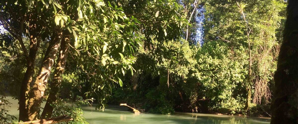 A calm river with a small boat on the shore, surrounded by dense greenery and trees.
