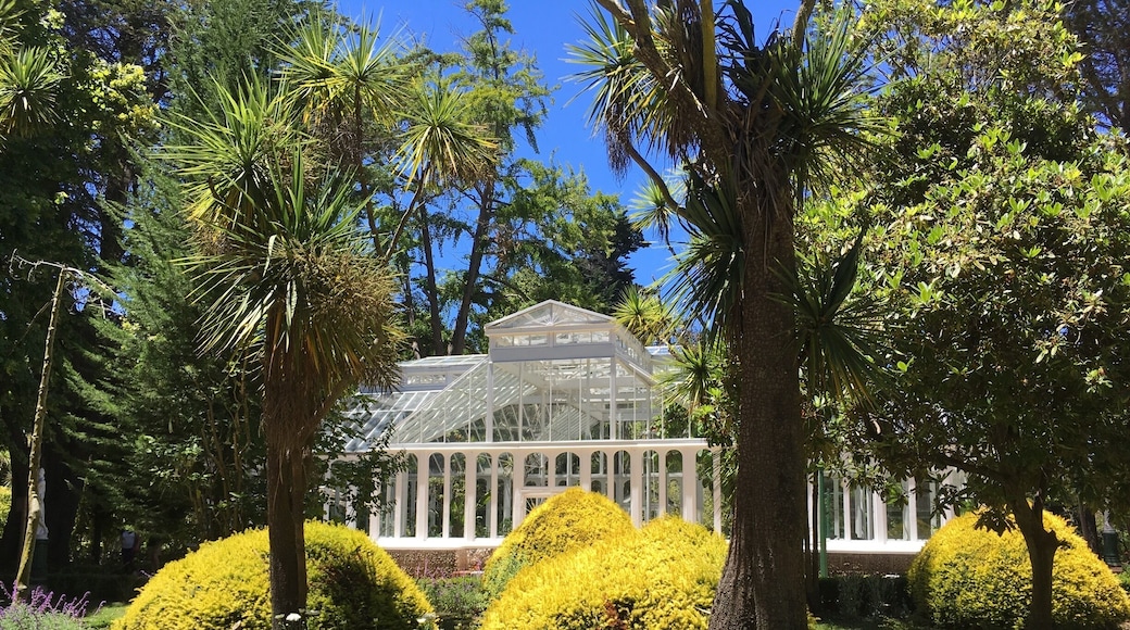 A perfect place for a weekend stroll through a park. The nearby historical museum has an in-character guide, who takes her job very serious. - There is lots to explain about Lota.
The real place to remember from Lota is the Chiflon del Diabolo. This former operational undersea coalmine is now a national monument and it is open to the public. No need to have your Chilean up to date. The once-miners-now-tour-guides communicate through their heart and soul.
http://www.plataformaurbana.cl/archive/2013/10/23/guia-urbana-de-chile-parque-isidora-cousino-y-mina-chiflon-del-diablo-lota/
- get a combi ticket to visit all three: park, museum, mine.