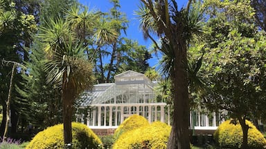 A perfect place for a weekend stroll through a park. The nearby historical museum has an in-character guide, who takes her job very serious. - There is lots to explain about Lota.
The real place to remember from Lota is the Chiflon del Diabolo. This former operational undersea coalmine is now a national monument and it is open to the public. No need to have your Chilean up to date. The once-miners-now-tour-guides communicate through their heart and soul.
http://www.plataformaurbana.cl/archive/2013/10/23/guia-urbana-de-chile-parque-isidora-cousino-y-mina-chiflon-del-diablo-lota/
- get a combi ticket to visit all three: park, museum, mine.