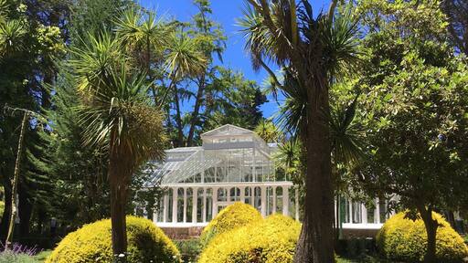 A perfect place for a weekend stroll through a park. The nearby historical museum has an in-character guide, who takes her job very serious. - There is lots to explain about Lota.
The real place to remember from Lota is the Chiflon del Diabolo. This former operational undersea coalmine is now a national monument and it is open to the public. No need to have your Chilean up to date. The once-miners-now-tour-guides communicate through their heart and soul.
http://www.plataformaurbana.cl/archive/2013/10/23/guia-urbana-de-chile-parque-isidora-cousino-y-mina-chiflon-del-diablo-lota/
- get a combi ticket to visit all three: park, museum, mine.