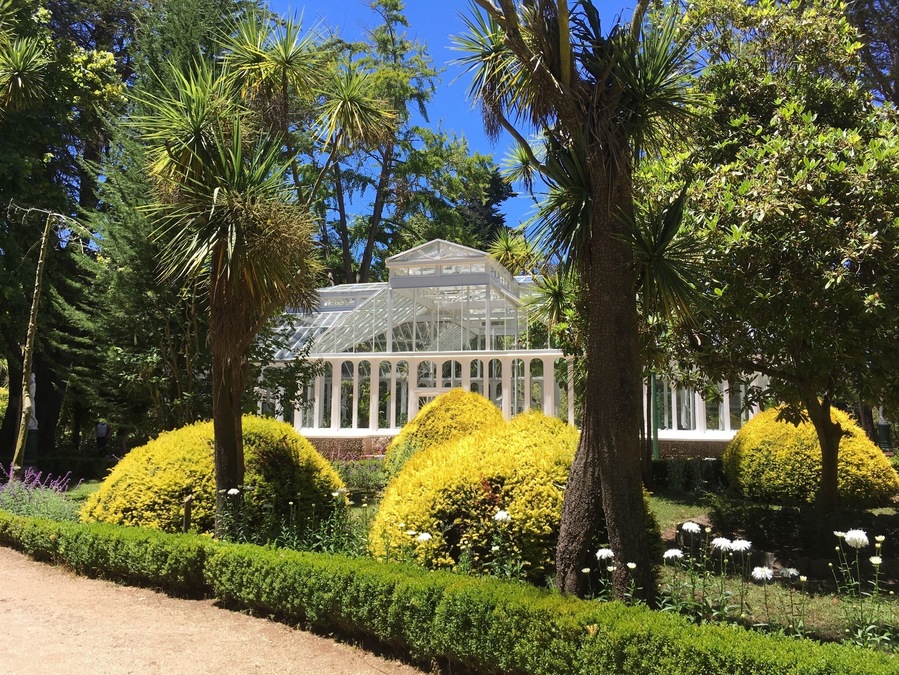 A perfect place for a weekend stroll through a park. The nearby historical museum has an in-character guide, who takes her job very serious. - There is lots to explain about Lota.
The real place to remember from Lota is the Chiflon del Diabolo. This former operational undersea coalmine is now a national monument and it is open to the public. No need to have your Chilean up to date. The once-miners-now-tour-guides communicate through their heart and soul.
http://www.plataformaurbana.cl/archive/2013/10/23/guia-urbana-de-chile-parque-isidora-cousino-y-mina-chiflon-del-diablo-lota/
- get a combi ticket to visit all three: park, museum, mine.