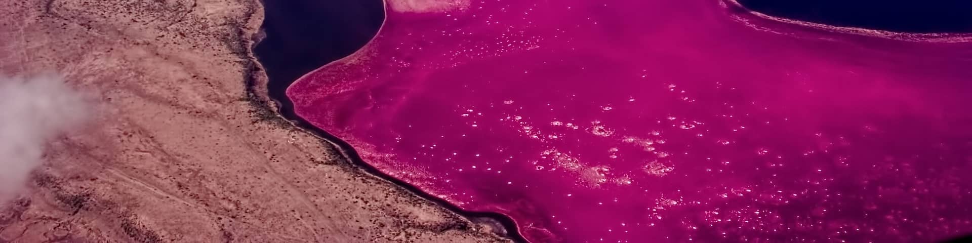 Saline lake Magadi in the Kenya Rift Valley, during the dry season, it is 80% covered by soda and is well known for its wading birds, including flamingos.; Shutterstock ID 54626314; Purchase Order: -