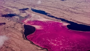 Saline lake Magadi in the Kenya Rift Valley, during the dry season, it is 80% covered by soda and is well known for its wading birds, including flamingos.; Shutterstock ID 54626314; Purchase Order: -