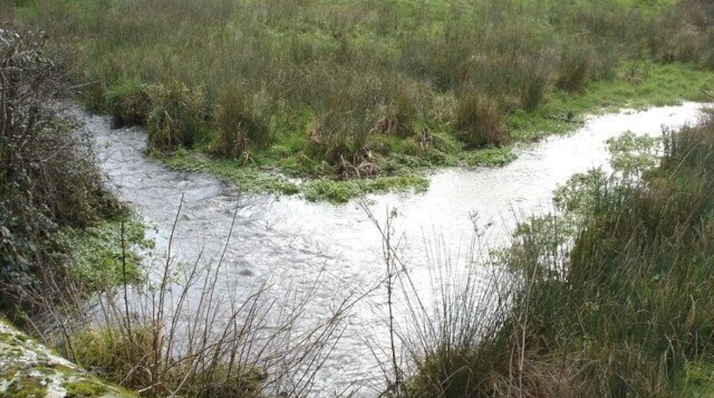 Upstream from Mullins Bridge