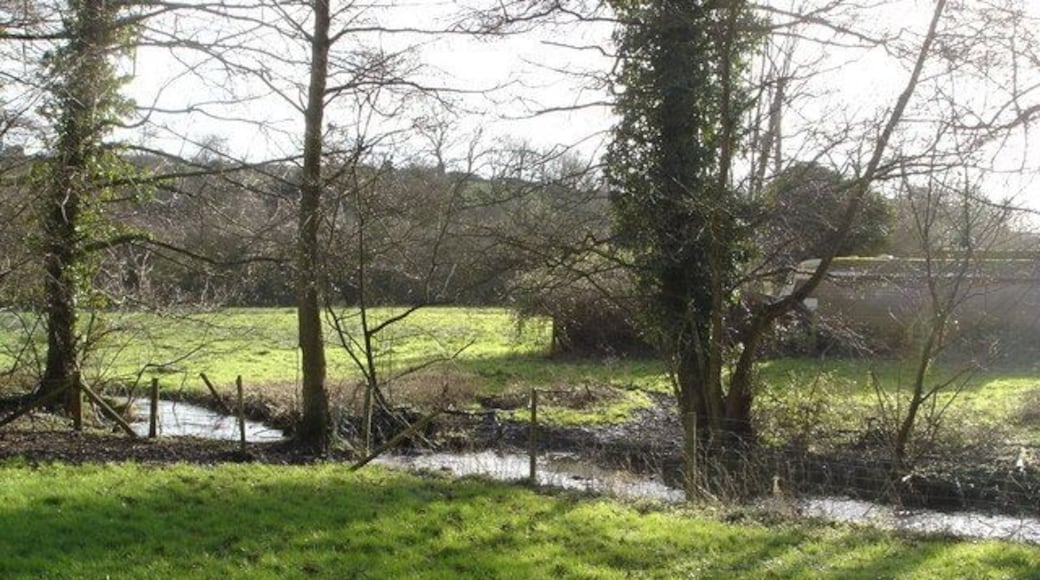 Stream running near Donhead St Mary