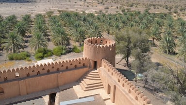 Jibreen Castle
#travel2lover
حصن جبرين