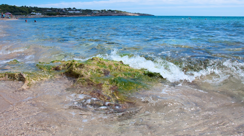Marina di Felloniche